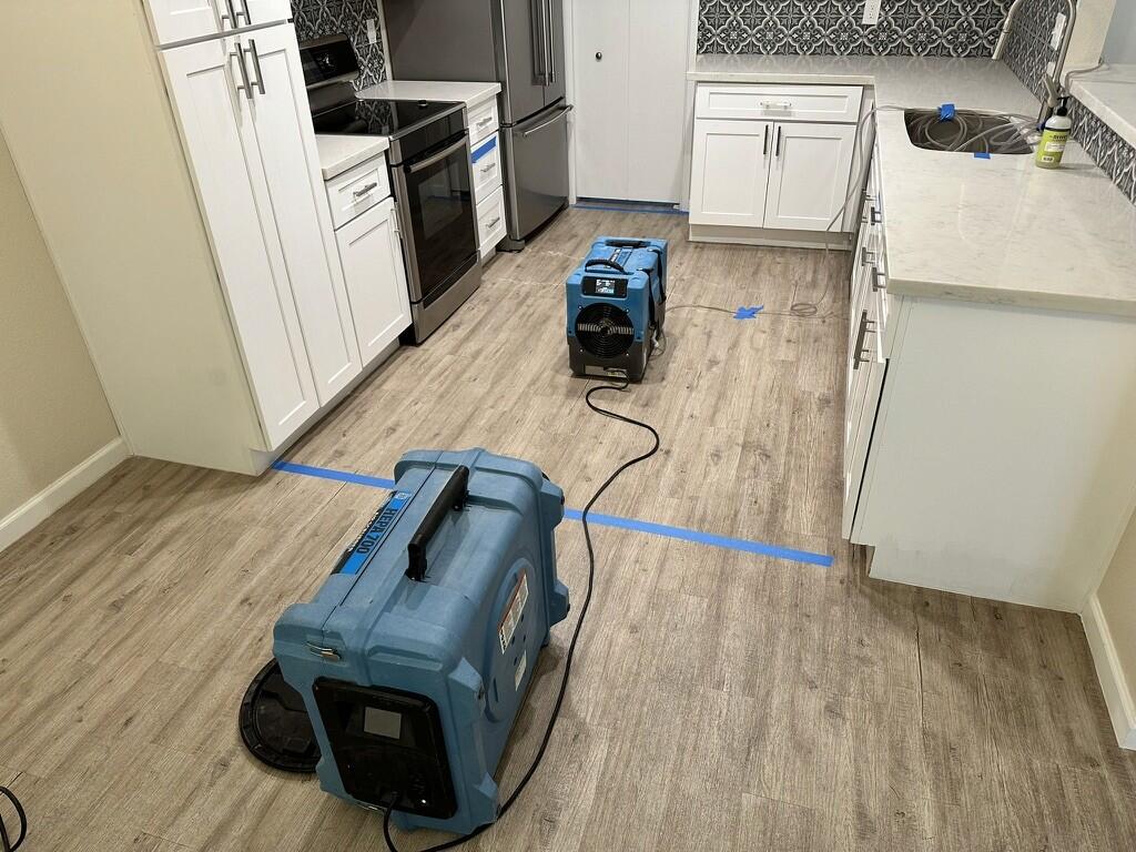 Mold remediation work