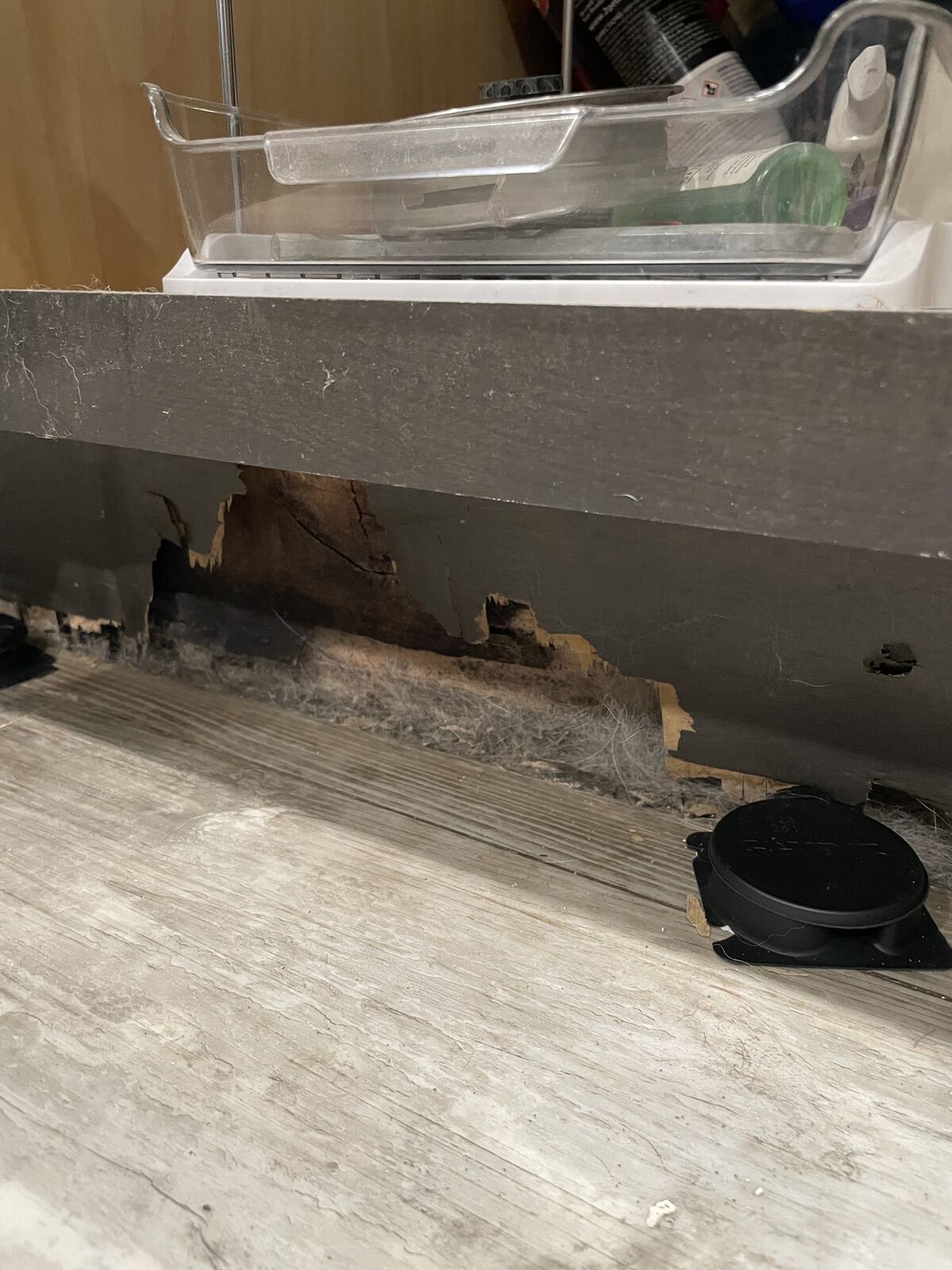 Water damage restoration job photo from Gilbert, AZ