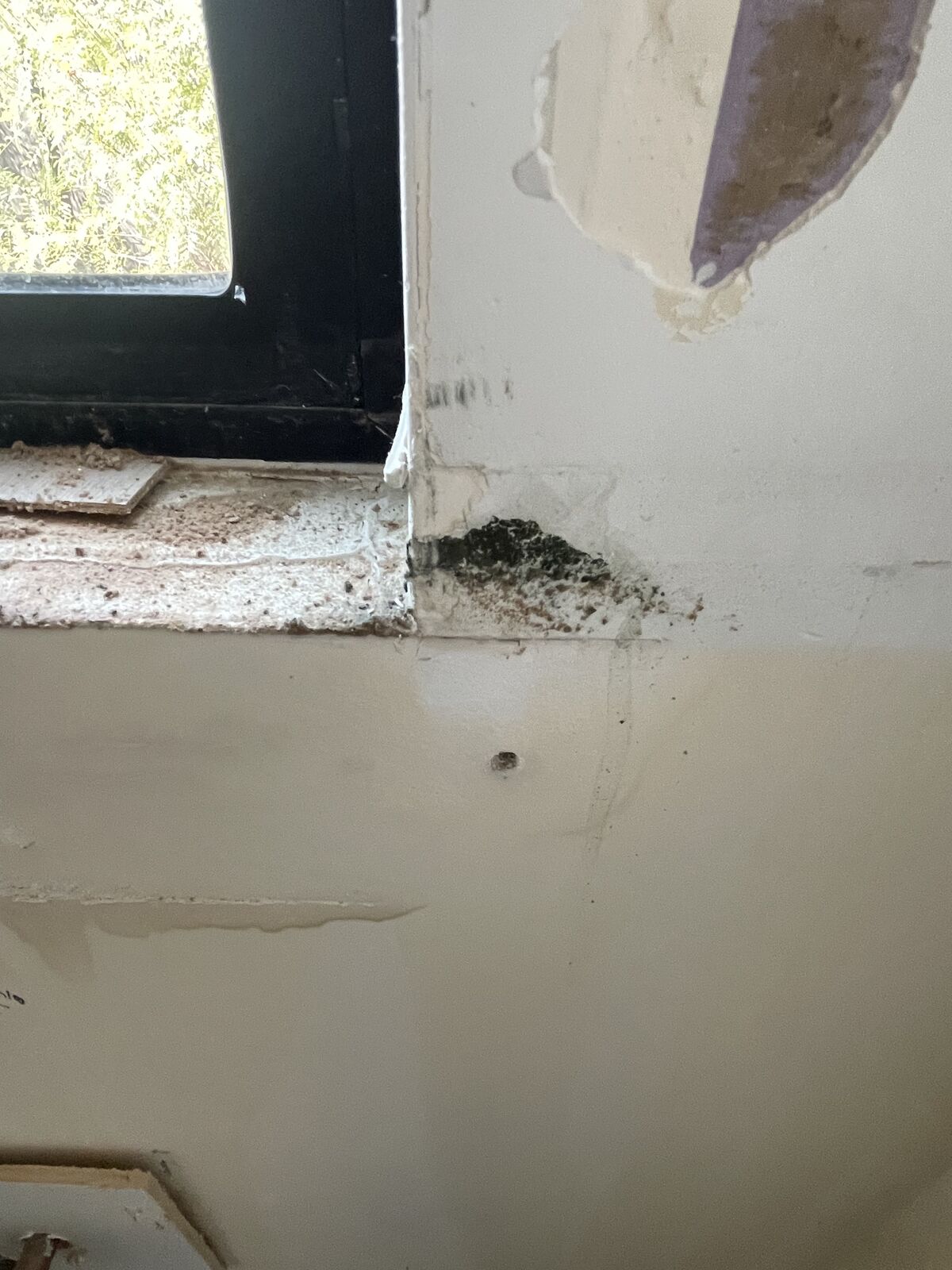 Mold remediation job photo from Mesa, AZ