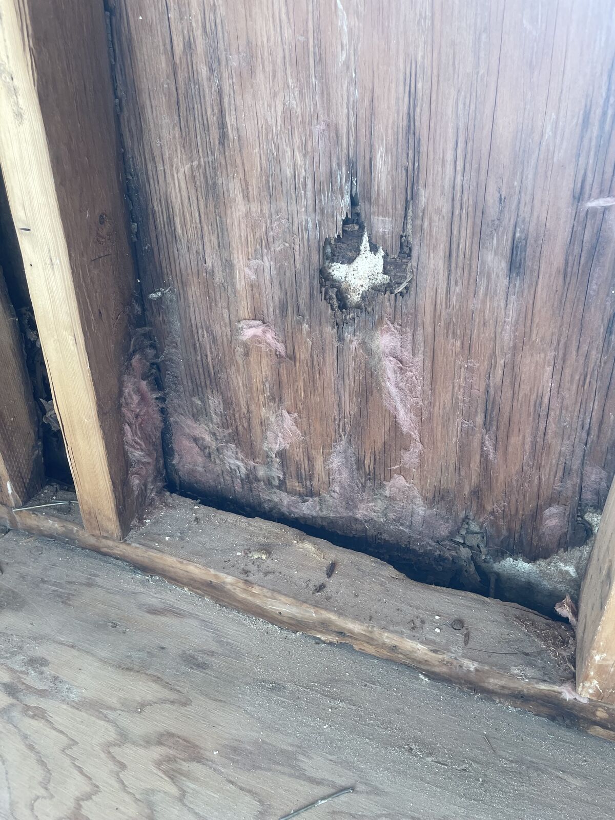 Water damage restoration job photo from Tempe, AZ